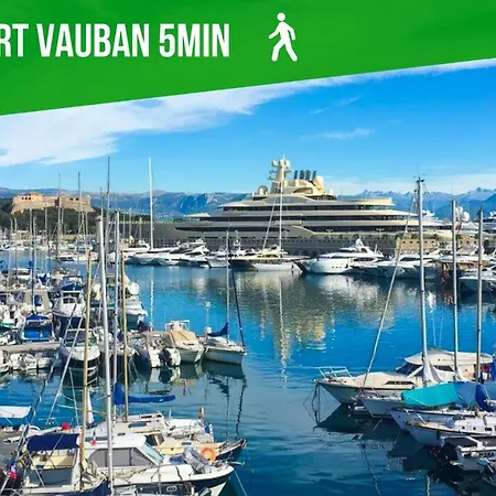 Le Bali Safranier Vieil