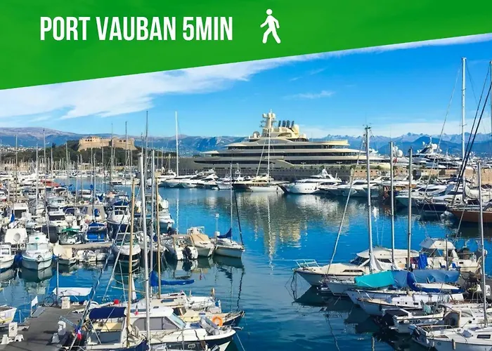 Le Bali Safranier Vieil