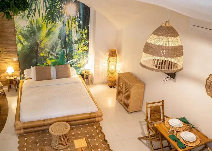 Le Bali Safranier Vieil 公寓 *